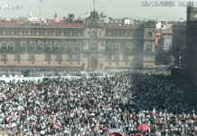 VideoBlog: La marcha del 15 de noviembre no es ningún capricho