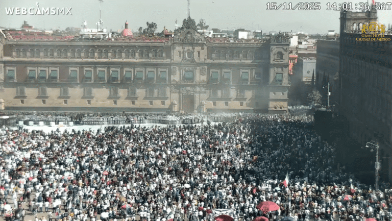 VideoBlog: La marcha del 15 de noviembre no es ningún capricho