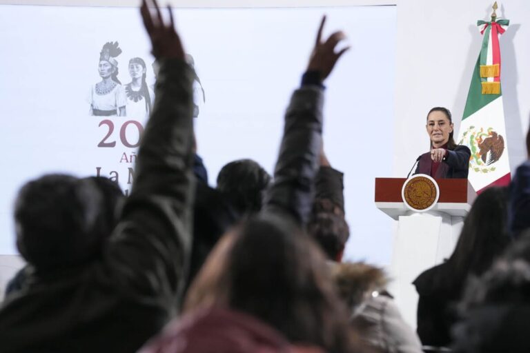 Morena y Sheinbaum: Desafíos en la Opinión Pública