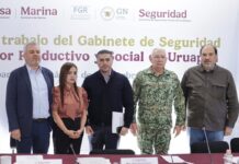 Inseguridad y Justicia: El Caso de Uruapan