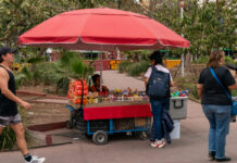 Baja productividad y mercado laboral precario definen la economía mexicana actual
