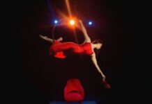 Escenarios IMSS-Cultura presenta teatro y danza para toda la familia en campeche