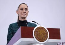 Crítica: de Búho de Minerva a ave carroñera y malditas redes