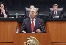 Camacho, CNTE y Z: crisis de la calle y el parlamento