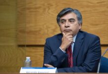 Generación Z: de la 4T para la 4T: hay tiro