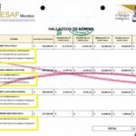 MCCI 09 21NOV25 (1)