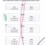 MCCI D 21nov25 (1)