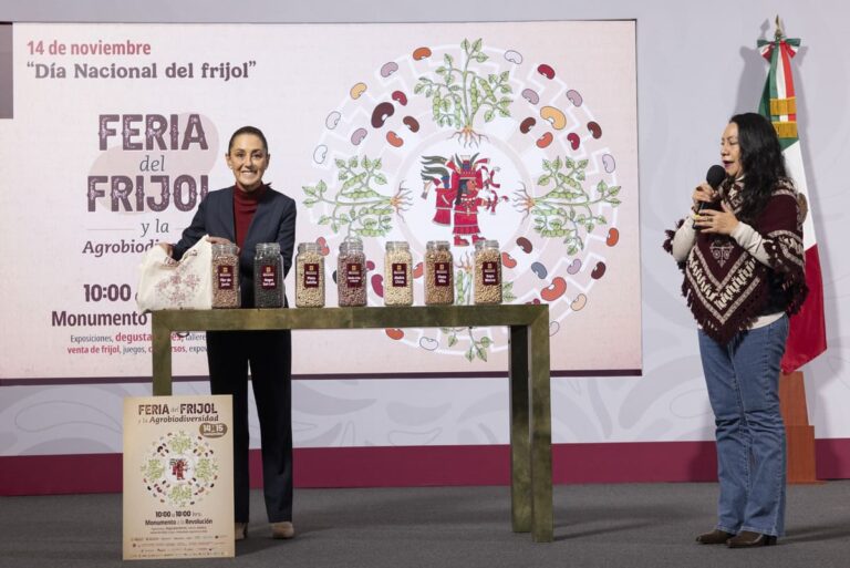Sheinbaum: Poderosa en el papel, frágil en la realidad