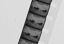 Llega a la UNAM Fotogenia 7. Festival Internacional de Cinepoesía y Narrativas Divergentes