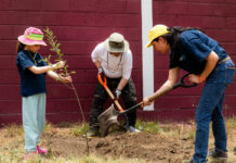 Durante la COP30, World Vision llama a que la voz de la niñez sea el centro de la gobernanza climática