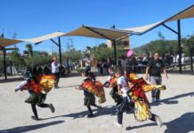 Conanp fortalece el cuidado de la mariposa Monarca en la Sierra Gorda de Guanajuato