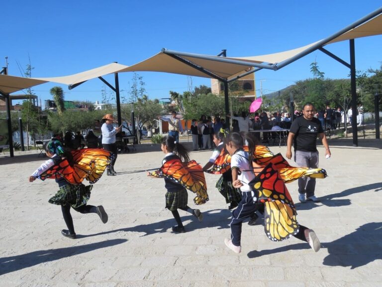 Conanp fortalece el cuidado de la mariposa Monarca en la Sierra Gorda de Guanajuato
