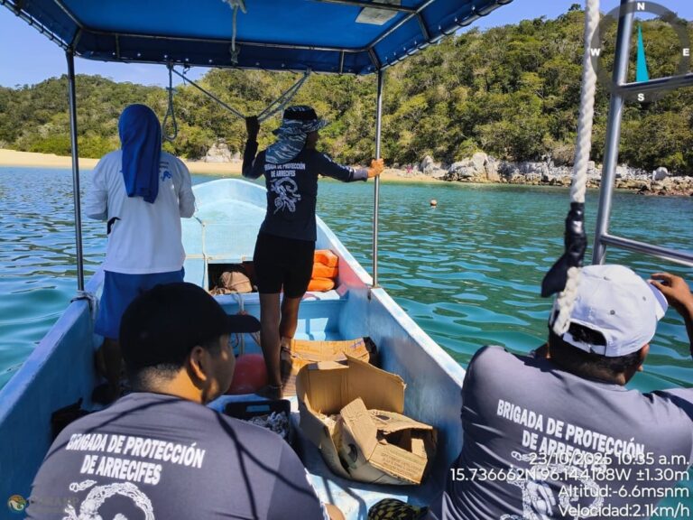 La Conanp libera subproductos marinos en el Parque Nacional Huatulco