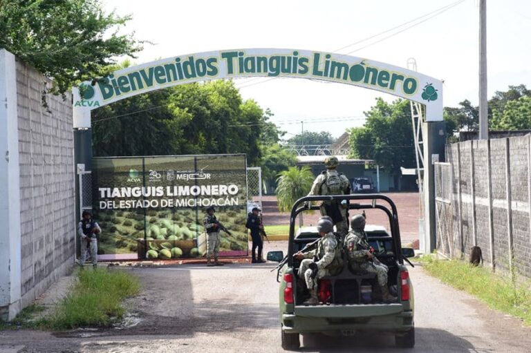 Michoacán y la urgencia de un Plan Nacional