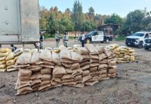 Guardia Nacional y Ejército Mexicano aseguran sustancias químicas empleadas para la elaboración de droga sintética en Michoacán
