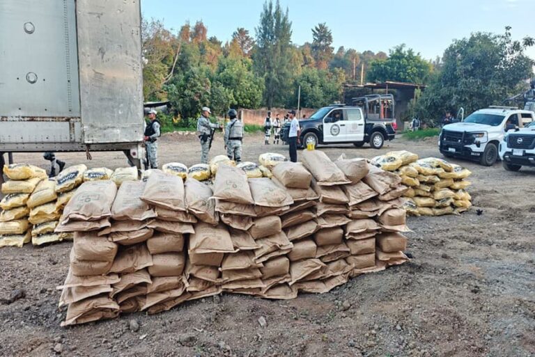 Guardia Nacional y Ejército Mexicano aseguran sustancias químicas empleadas para la elaboración de droga sintética en Michoacán