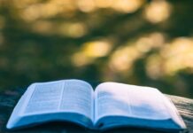 Miradas sobre la experiencia, la época novohispana y la conciencia en la colección Pequeños Grandes Ensayos