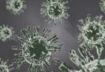 VSR, el virus del que pocos hablan pero que puede causar neumonía grave en adultos mayores