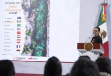 La popularidad de la presidenta a la baja por protestas