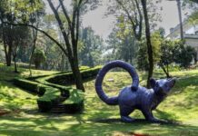 El Complejo Cultural Los Pinos, espacio de exploración de conocimientos, prácticas artísticas y expresiones identitarias