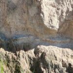 El INAH resguarda fósiles de megafauna del pleistoceno tardío hallados en Acatzingo, Puebla