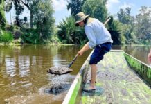 El Chapín, legado milenario de Tláhuac honra a generaciones que defienden la identidad de su pueblo