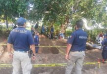 Terrorismo Selectivo Expone Contradicciones Mexicanas