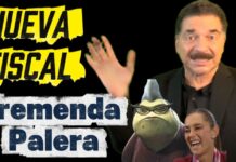 VideoBlog: Fiscal Nueva, Tremenda Palera