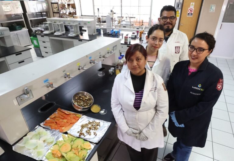 Investigadores del IPN avanzan para convertir desechos agroindustriales en platos degradables