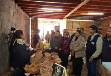 La Conanp anuncia la conclusión del proyecto Dior-Monarca, en la Reserva de la Biosfera Mariposa Monarca