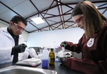 Alista IPN plástico que se disuelve y purifica el agua