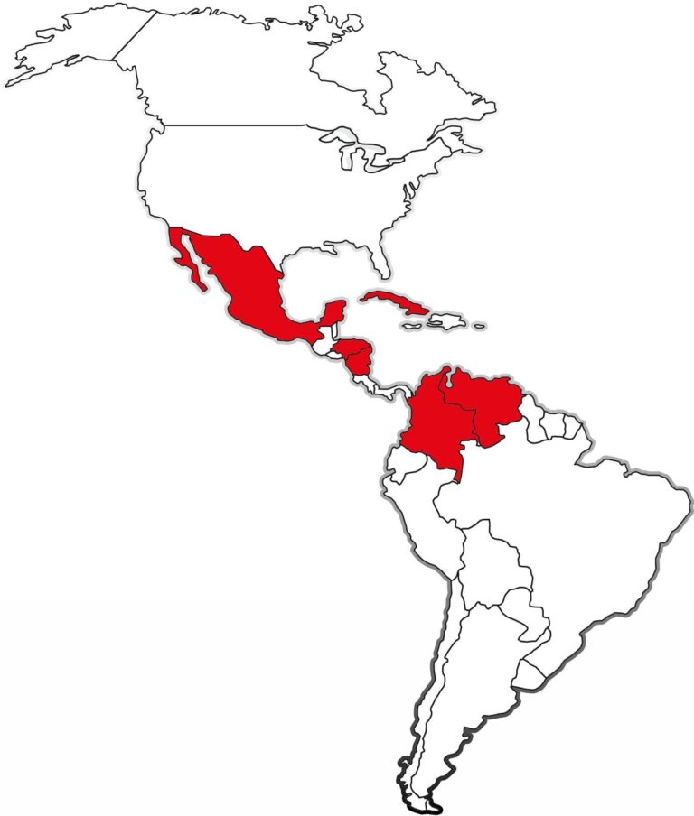 La 4T, reducto de narcodictaduras