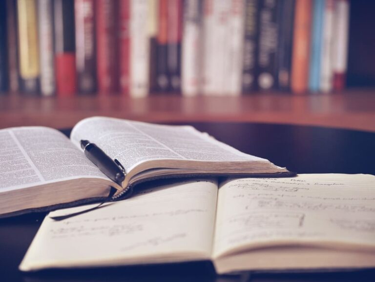 Libros que llegaron en 2025