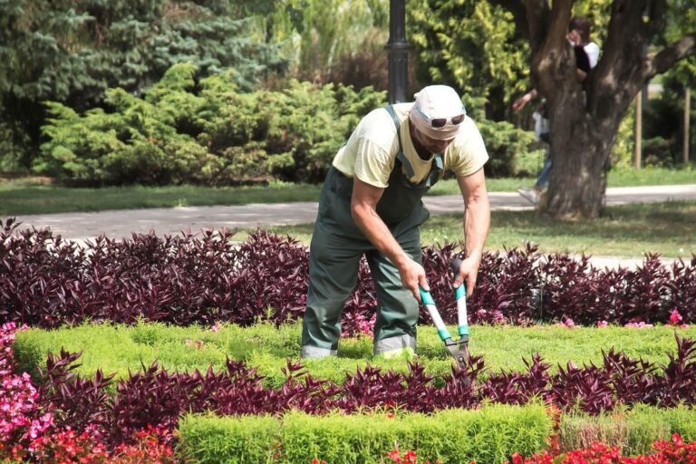 México alcanza cifra récord de empleos formales, pero con disparidad regional