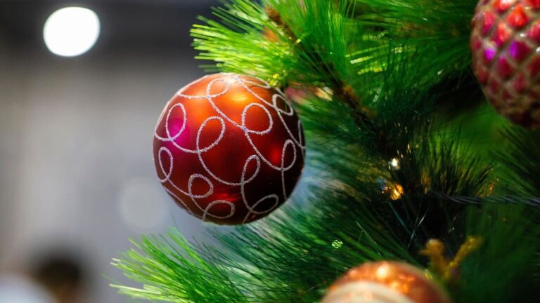 Navidad próxima: Estar con los cercanos
