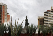 Vida cotidiana y política