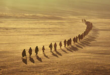 MIgración inversa: el colapso del flujo hacia EE. UU. y el retorno forzado de miles en 2025