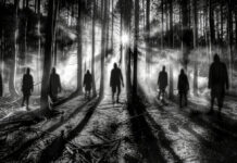 Desapariciones en México: la crisis no termina