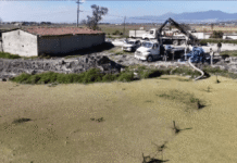 Acciones coordinadas para el desalojo de agua en Santa Cruz Chignahuapan