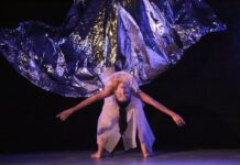 Escenarios IMSS–Cultura presenta teatro y danza para toda la familia en la Ciudad de México