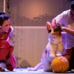 Cati, Catalina, Calicó… o la maravillosa vida de la niña gato: Una celebración de los vínculos inesperados