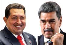 Los Arquitectos Del Fraude