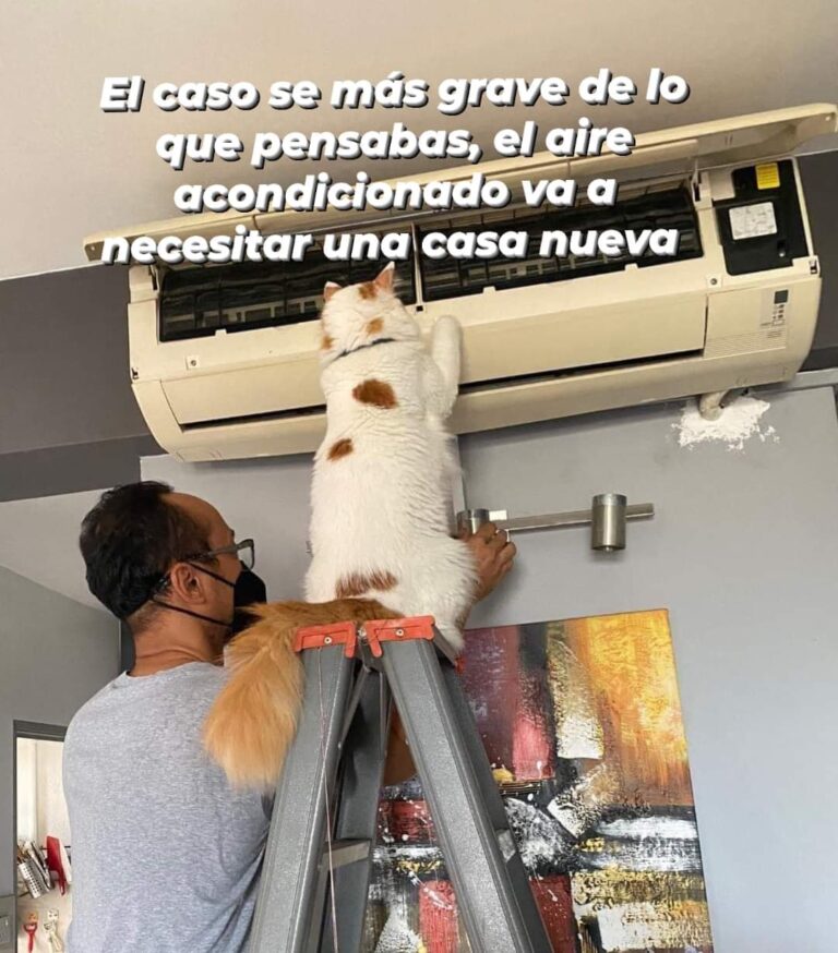 El Meme