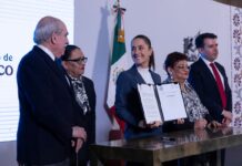 Reforma Electoral: Autoritarismo y Contradicciones