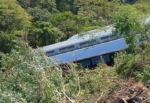 VideoBlog. Trenazo: El gobierno no sirve como empresario