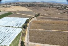 Conagua tecnificará más de mil hectáreas en el DR 020 Morelia–Queréndaro, en beneficio de productores agrícolas de Michoacán