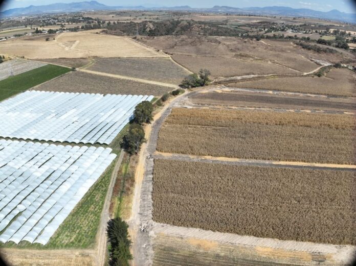 WhatsApp Image 2026-01-06 at 13.29.06 (2)