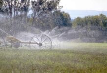 Se amplía el periodo de inscripción y reinscripción al PEUA hasta el 28 de abril de 2026