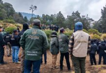 En 2026, refuerzan gobiernos federal y estatales la vigilancia y los trabajos para la protección del Bosque de Agua