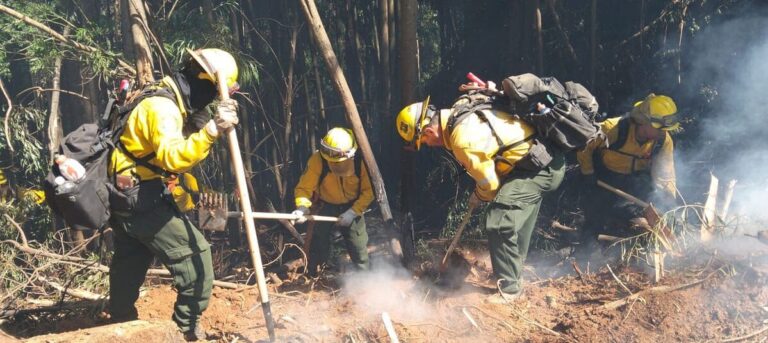 Brigadas mexicanas operan en Chile para contener incendios forestales en regiones afectadas
